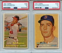 Picture and more info...